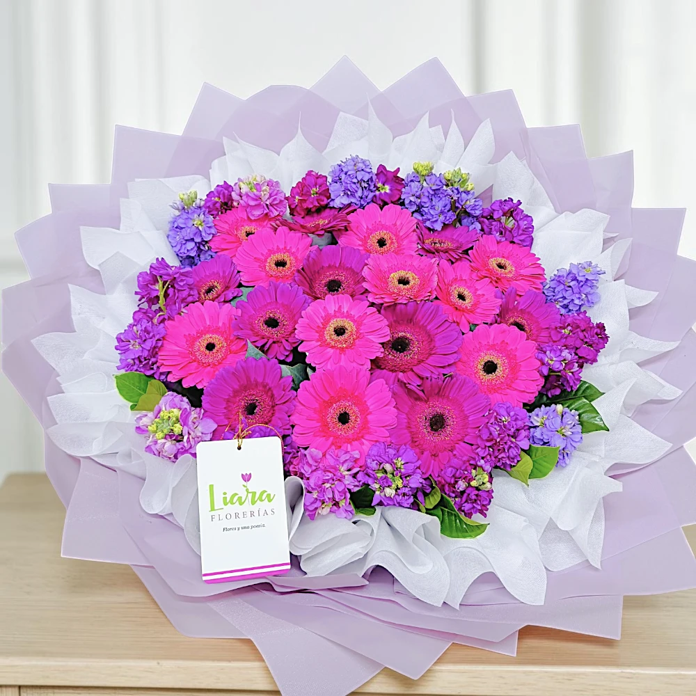 #ramogerberas #gerberas #ramoscongerberas #gerberasrojas #gerberasyrosas