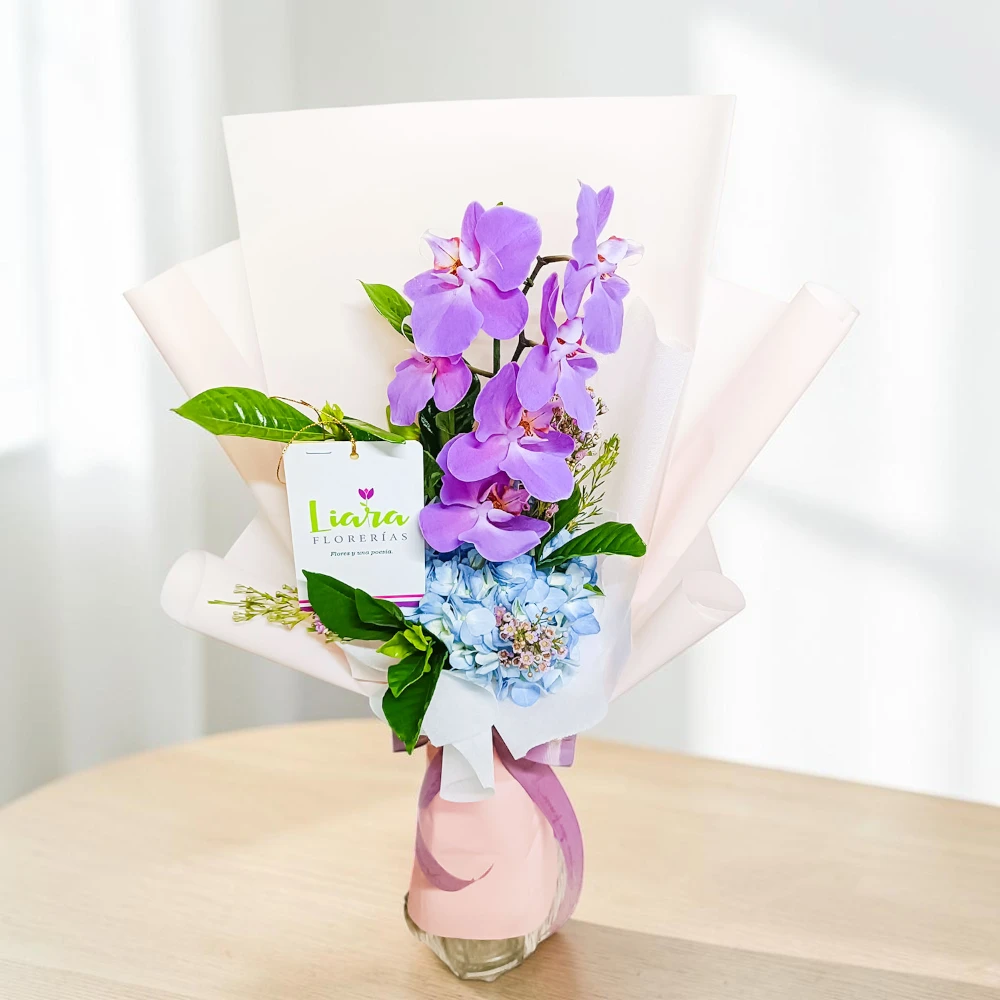 #orquideas #orquideasphalaenopsis #baseconorquideas #orquideaspararegalar