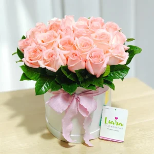 #boxrosas #cajaderosas #boxderosasregalo #rosasencaja #cajacontulipanes #tulipanesencaja