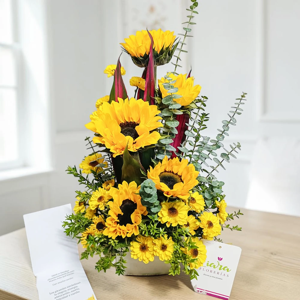 #girasoles #boxgirasoles #girasolesenramos #girasolesyrosas #floresamarillas #ramosdeflores