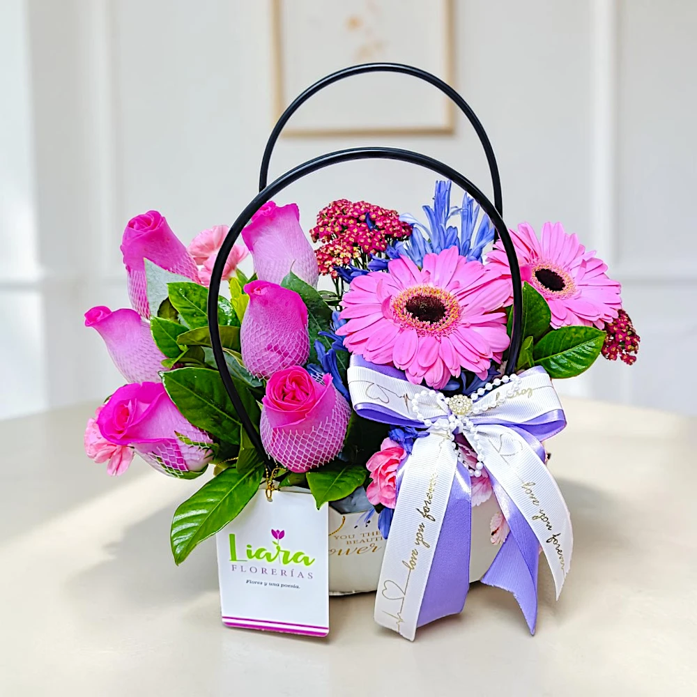 6 rosas base modelo cartera